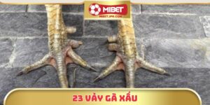 23 Vảy Gà Xấu – Kiến Thức Quan Trọng Giúp Tránh Chọn Nhầm Gà