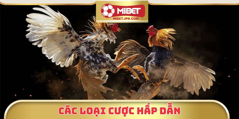 Các loại cược hấp dẫn
