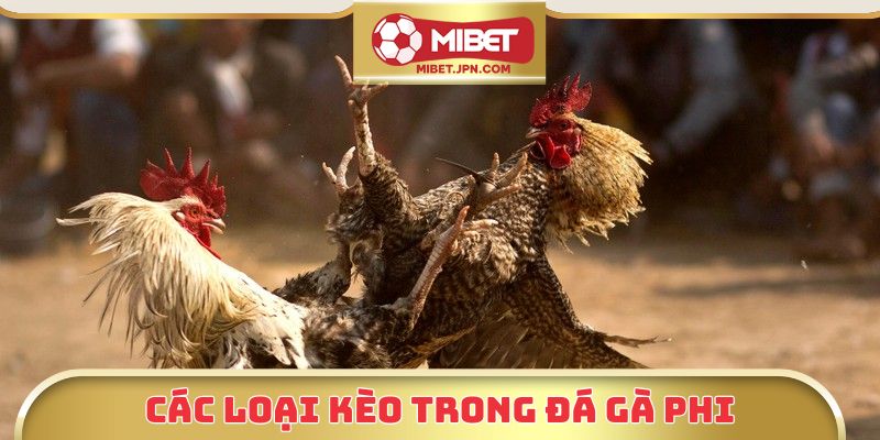 Các loại kèo trong đá gà phi