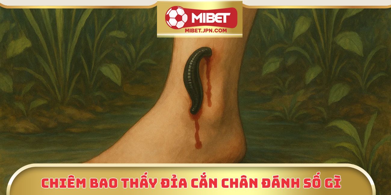 Chiêm bao thấy đỉa cắn chân đánh số gì