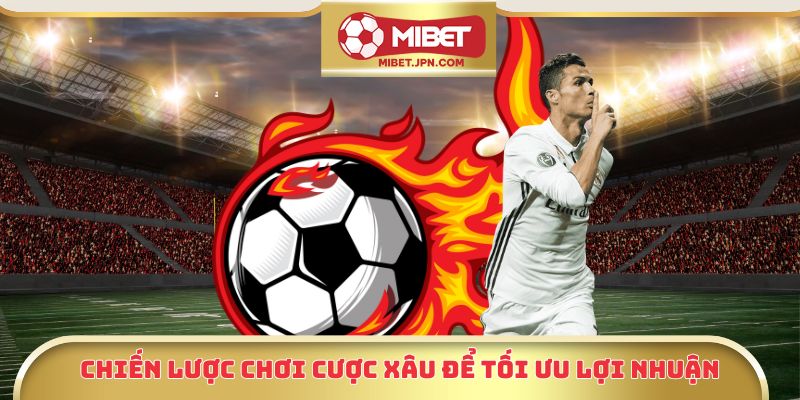 Chiến lược chơi cược xâu để tối ưu lợi nhuận
