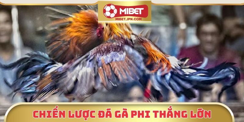 Chiến lược đá gà phi thắng lớn
