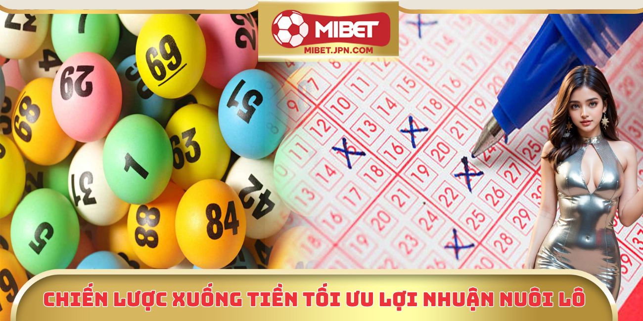 Chiến lược xuống tiền tối ưu lợi nhuận nuôi lô