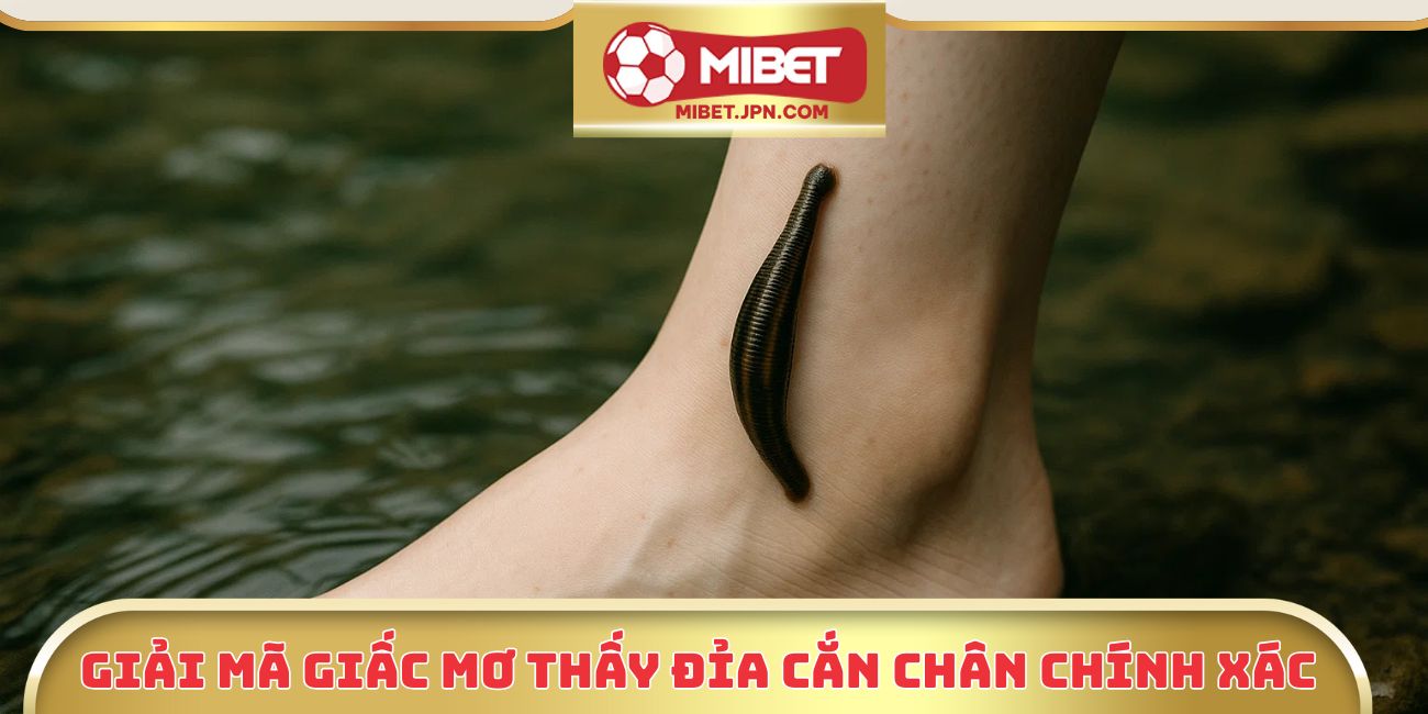Giải mã giấc mơ thấy đỉa cắn chân chính xác