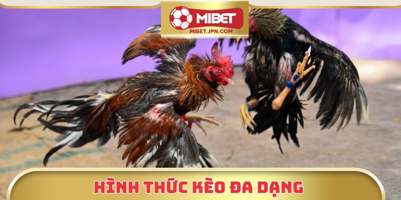 Hình thức kèo đa dạng