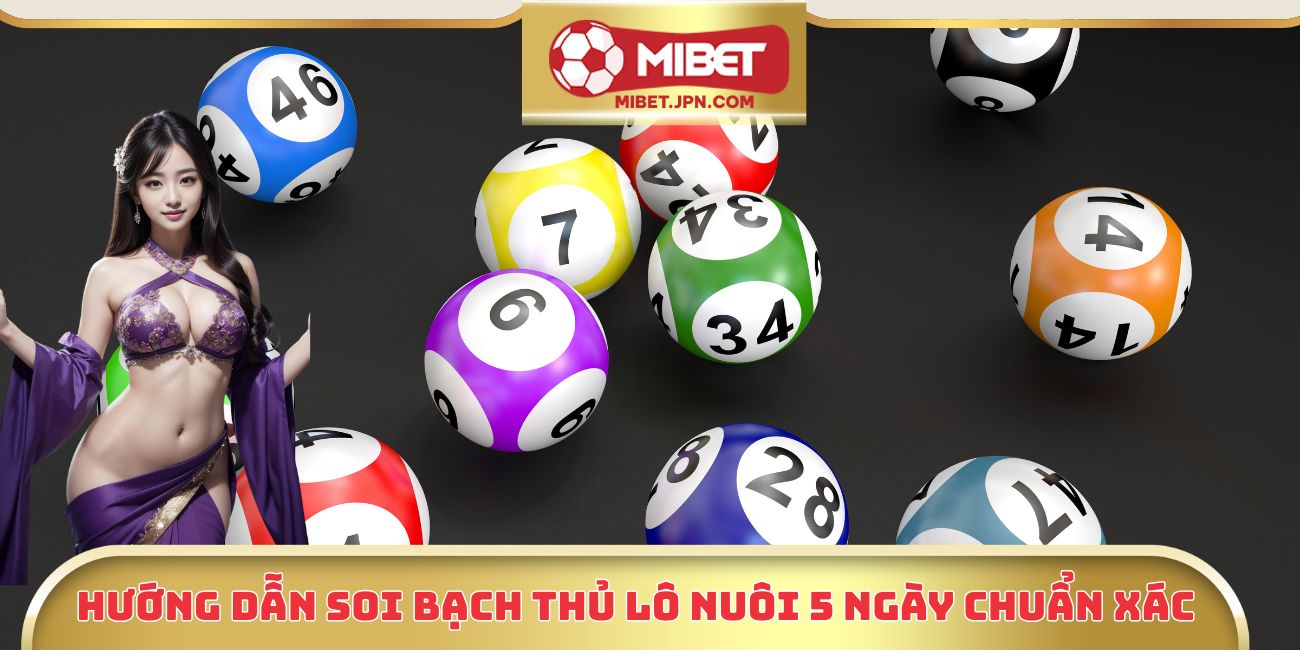 Hướng dẫn soi bạch thủ lô nuôi 5 ngày chuẩn xác