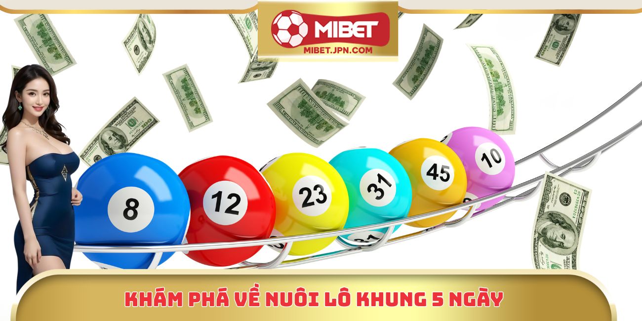 Khám phá về nuôi lô khung 5 ngày