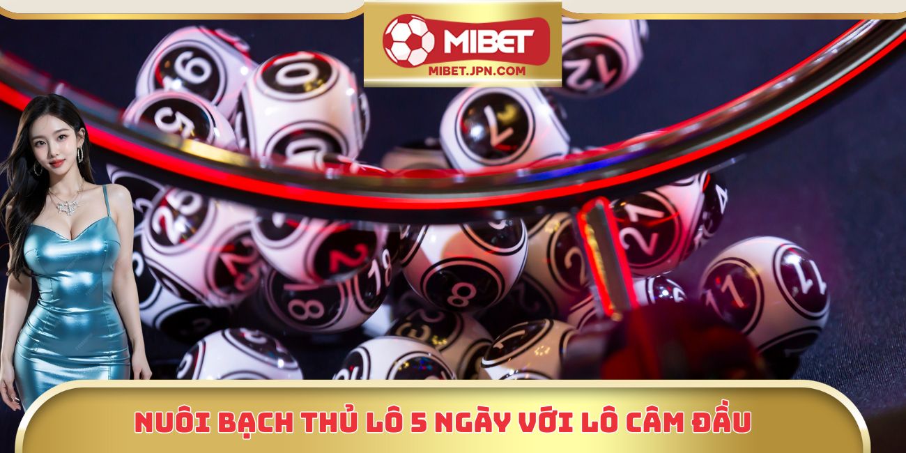 Nuôi bạch thủ lô 5 ngày với lô câm đầu