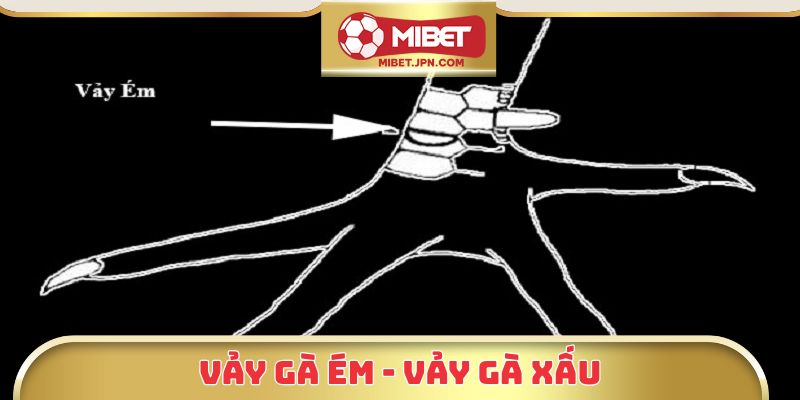 Vảy gà ém - Vảy gà xấu