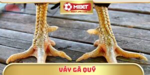 Khám Phá Các Loại Vảy Gà Quý Hiếm Trong Giới Đá Gà